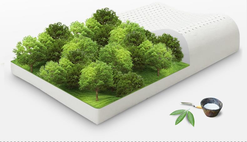 天然乳胶的价格差异怎么这么大呢？