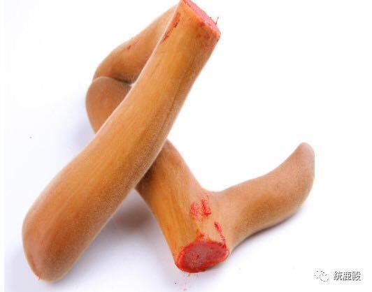 血茸，鹿茸中的极品